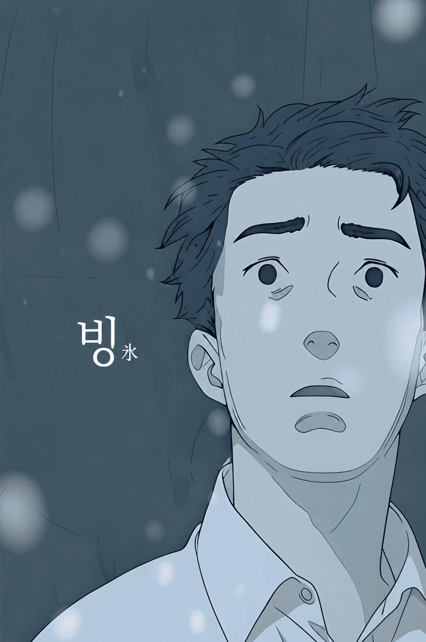 The Ice (빙氷) poster