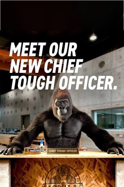 Meet the new Chief Tough Officer at The Gorilla Glue Company poster