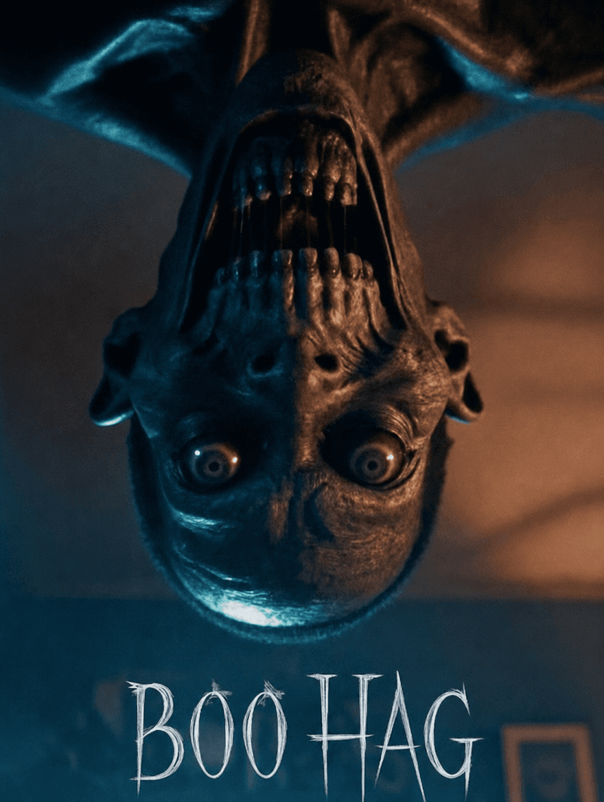 The Boo Hag Will Get You poster