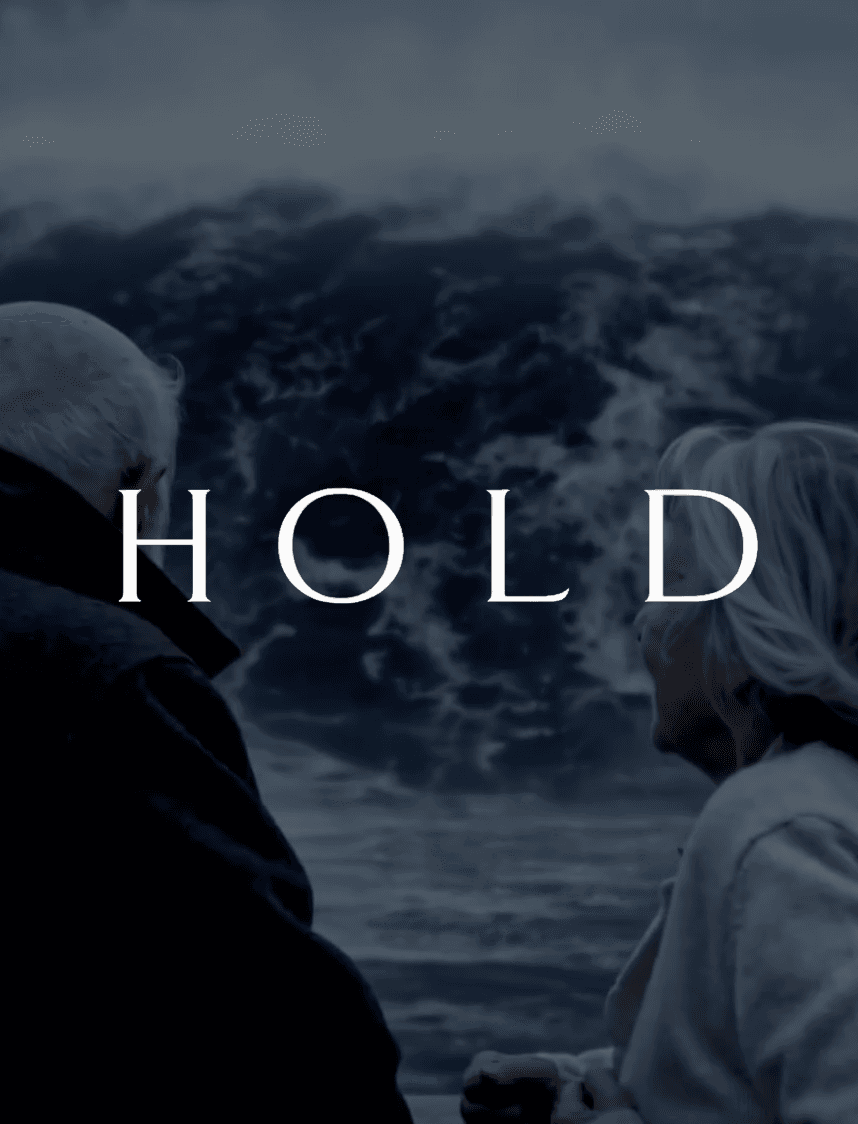 HOLD poster