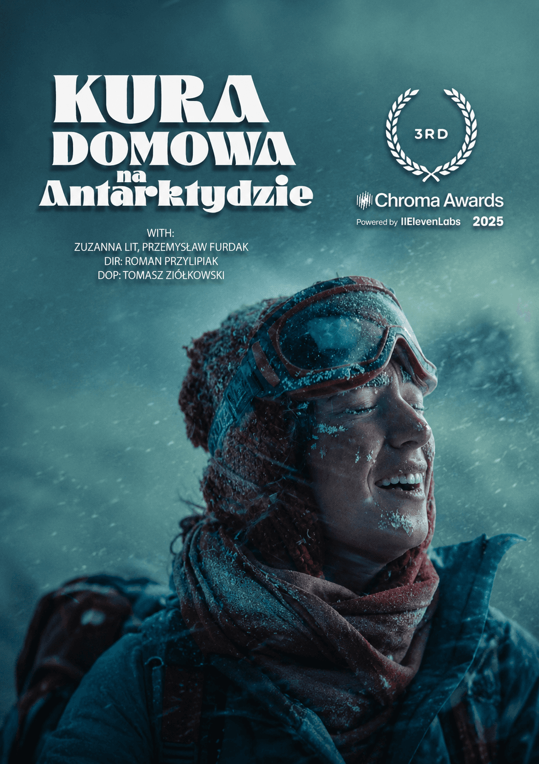 The Houswife in Antarctica poster