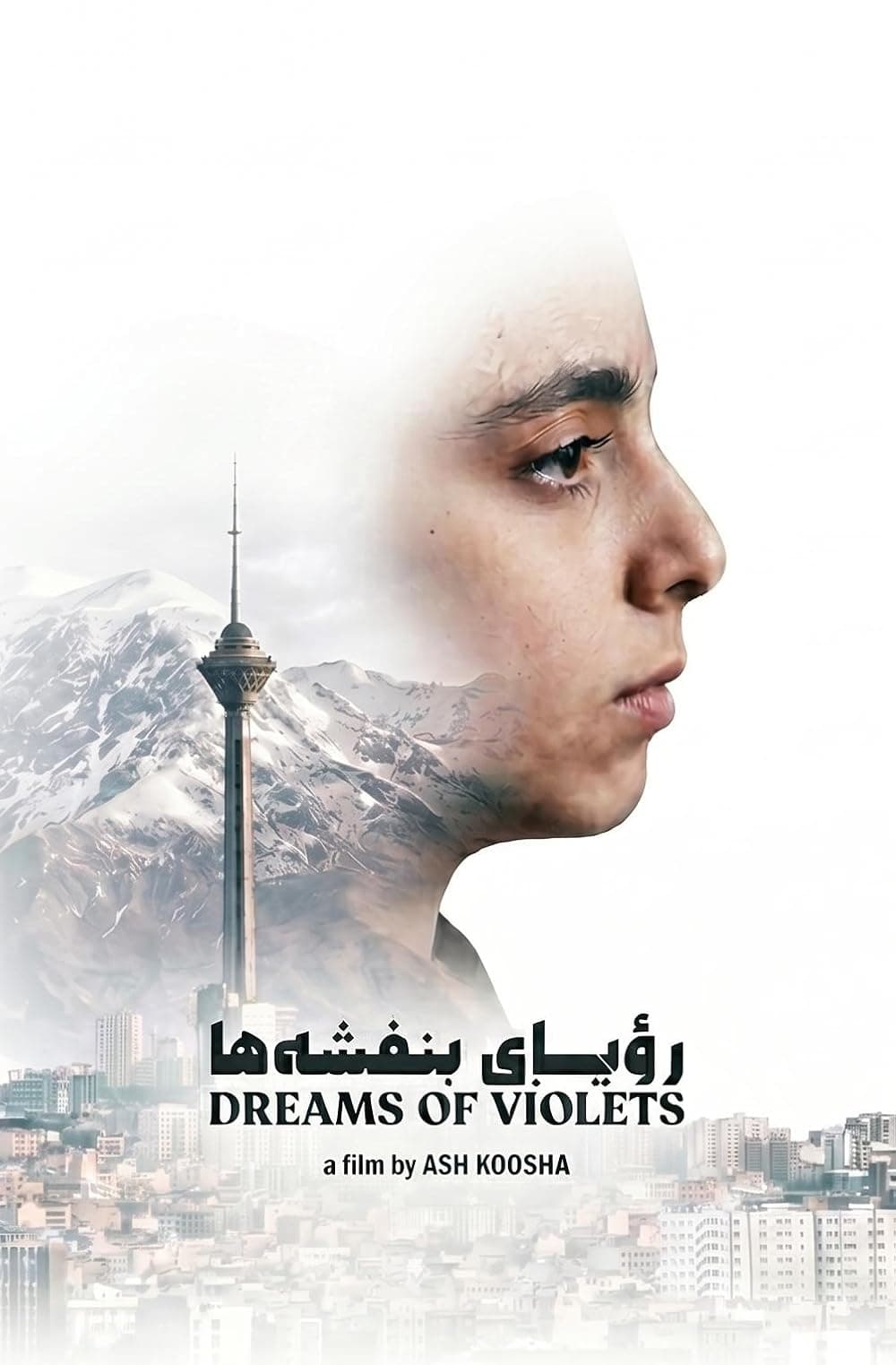 DREAMS OF VIOLETS poster
